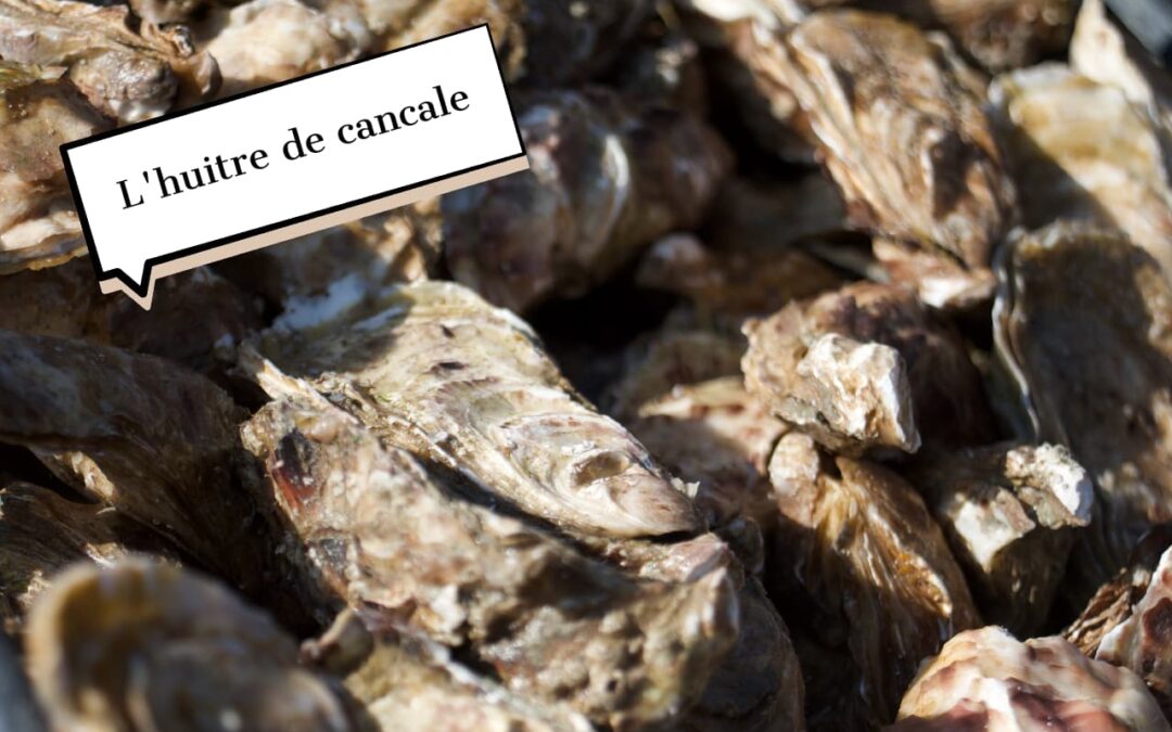 L’huitre de cancale